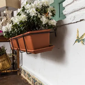 Frühstückspension Patio Marquez, Córdoba